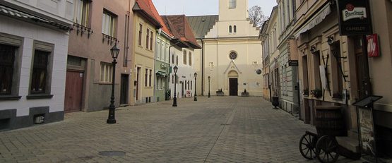 Бизнес иммиграция в Словакию