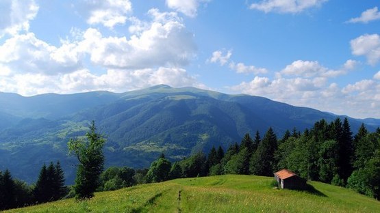 природа трускавца