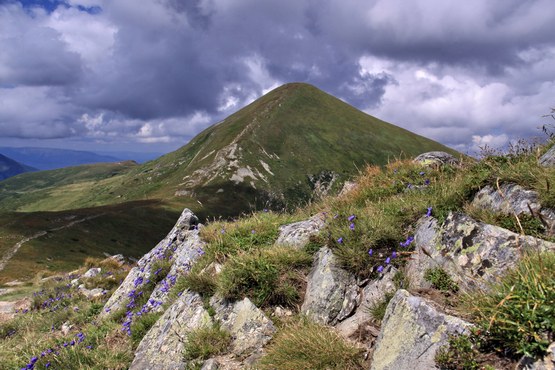Говерла