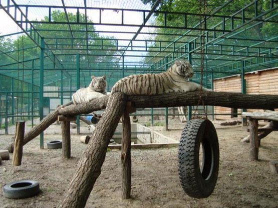 зоопарки Украины