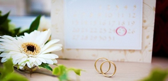 обручальные кольца и другие необходимые вещи для свадьбы