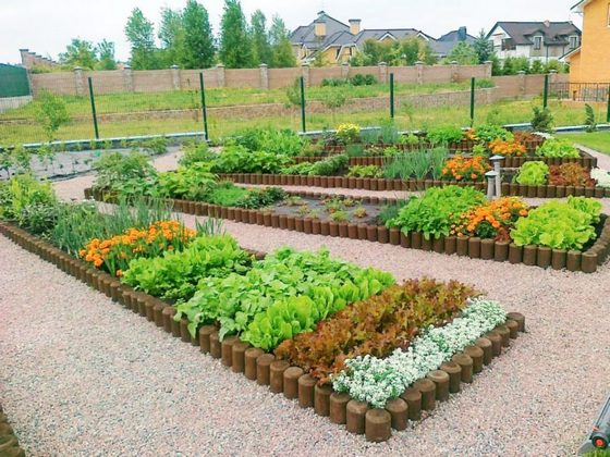 прекрасный огород из правильно посаженных семян овощей