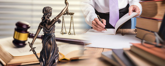 специалист юридической компании
