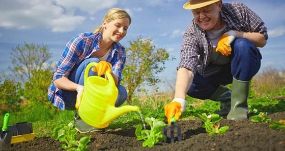 дні для різних сільскогосподарських робіт