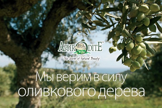 косметика на основе оливкового масла